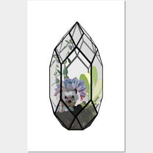 Hedgehog Terrarium Posters and Art